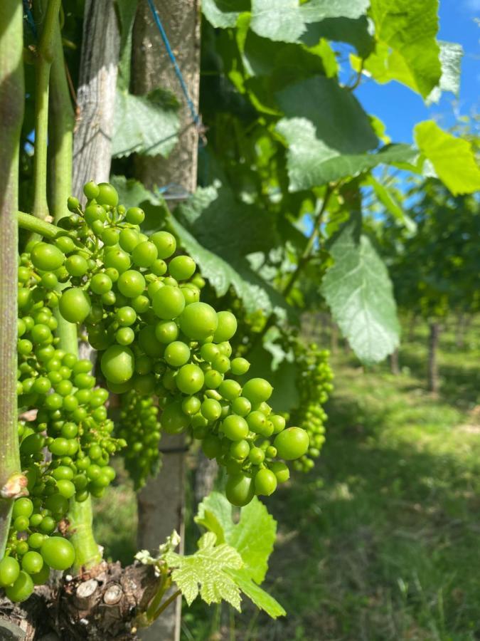 Landgasthof Ochsen Sinzheim Eksteriør bilde